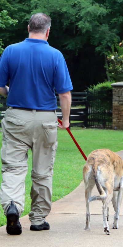 lgv pet sitting (1) lgv pet sitting (1)