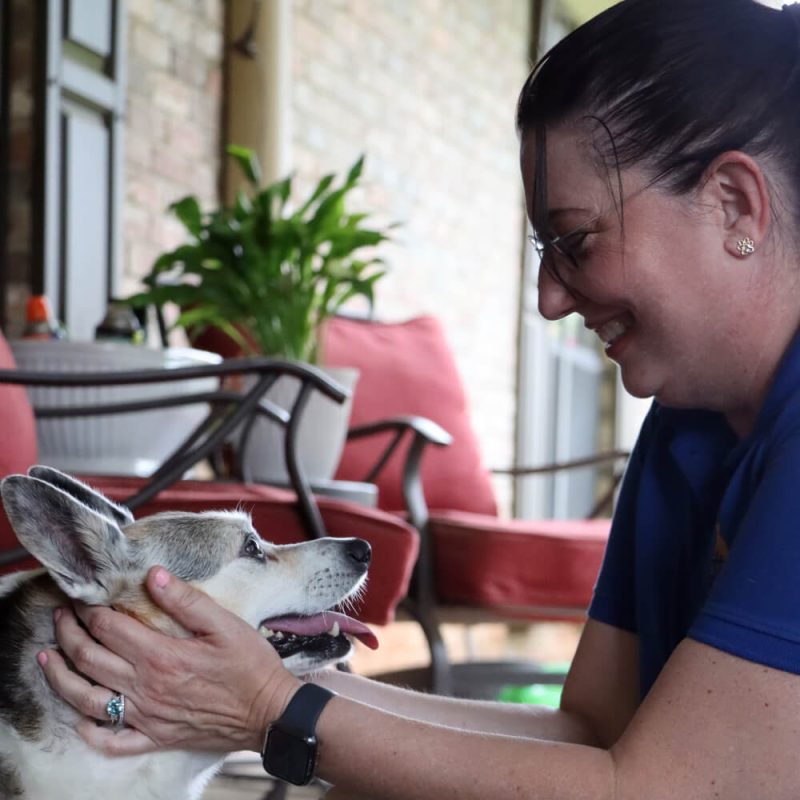 lgv pet sitting dog (4) (1)