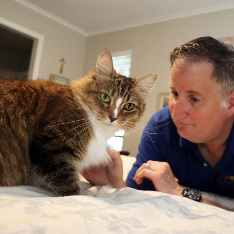 lgv pet sitting dog (8) (1)